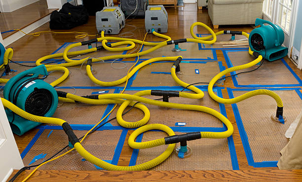 Professional Sewage Cleanup technician working in Rudolph, WI