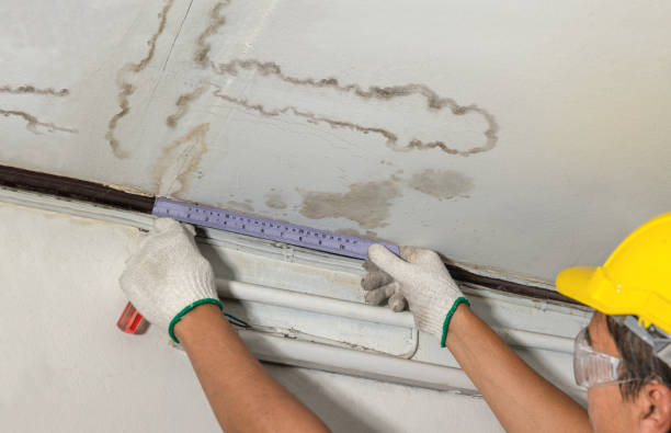 Affordable Water Damage Repair solutions in Rudolph, WI